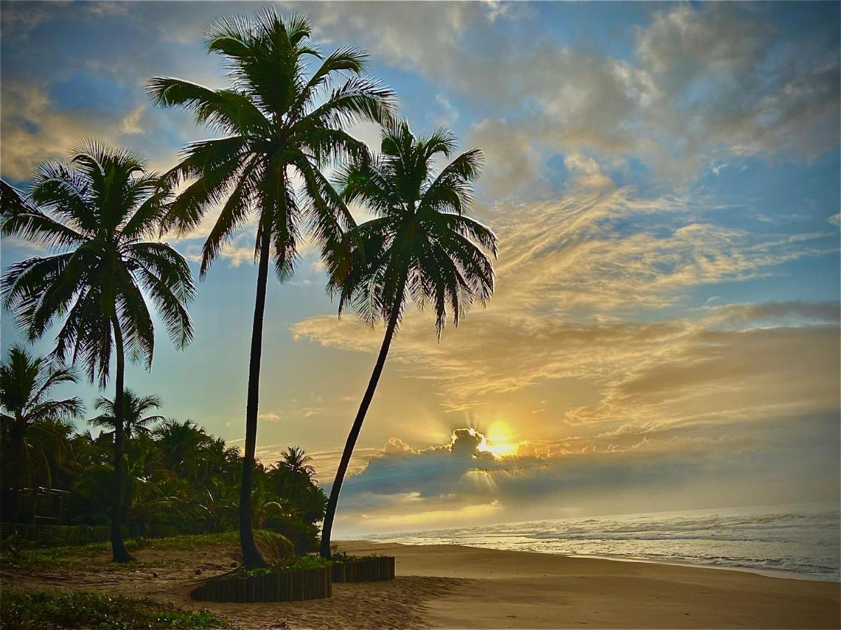 Готель Bahia Surf Camp Abrantes Екстер'єр фото